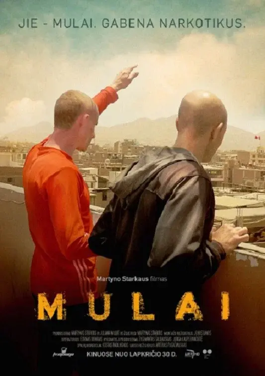 image-movies