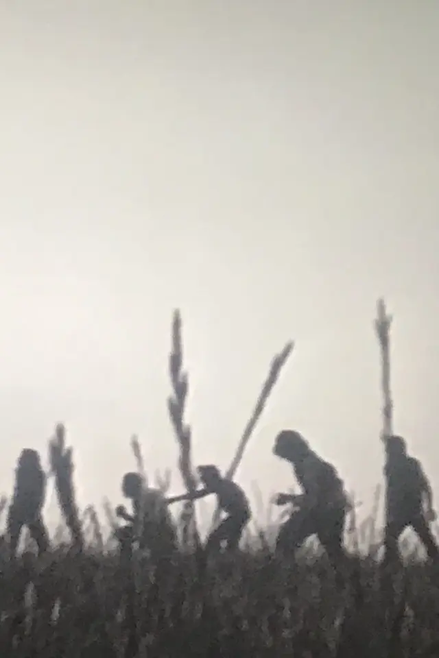 image-moviess