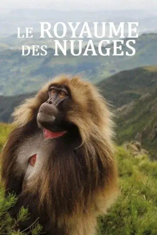 image-moviess