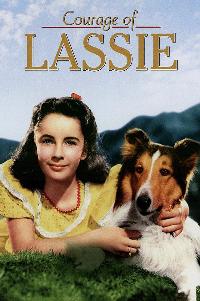 image-moviess