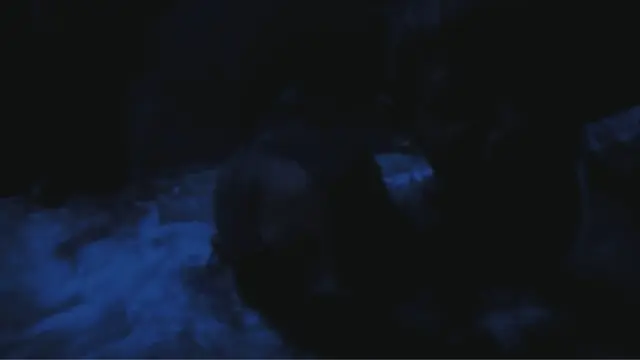 image-movies