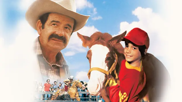 image-movies
