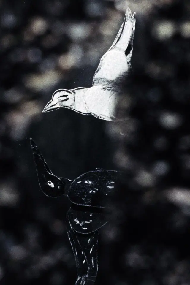 image-movies