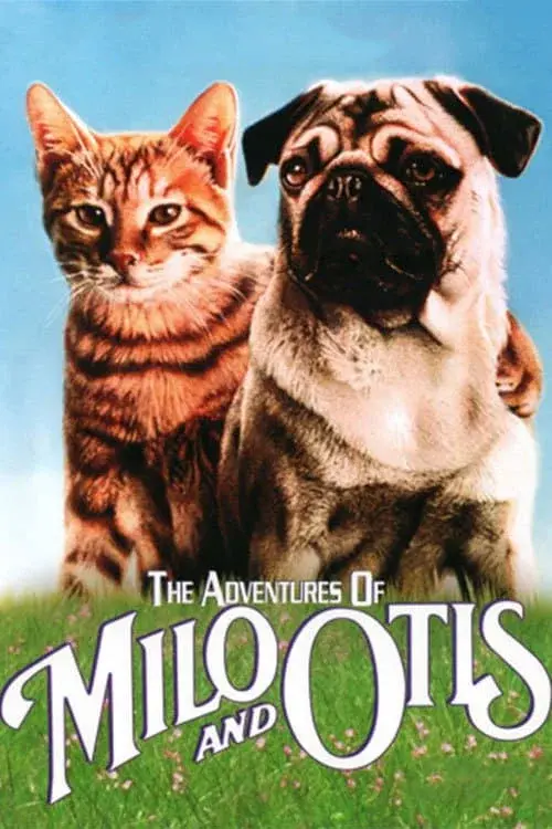 image-moviess