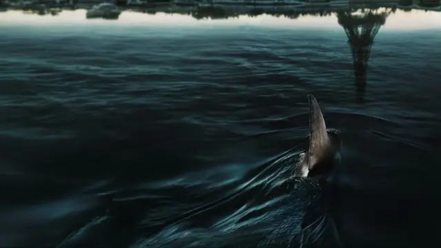 image-movies
