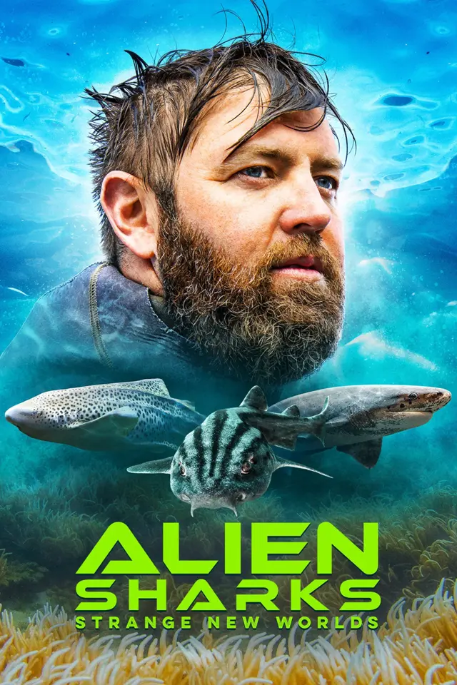 image-moviess