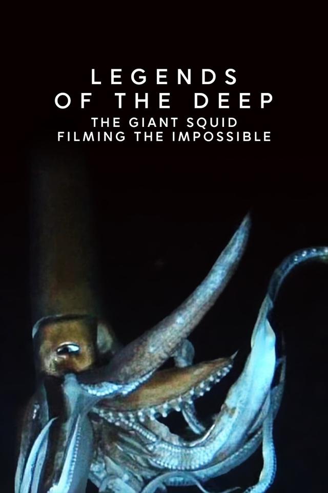 image-movies