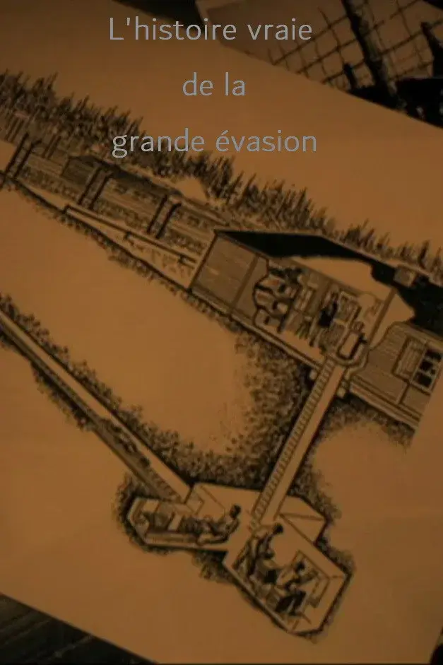 image-moviess