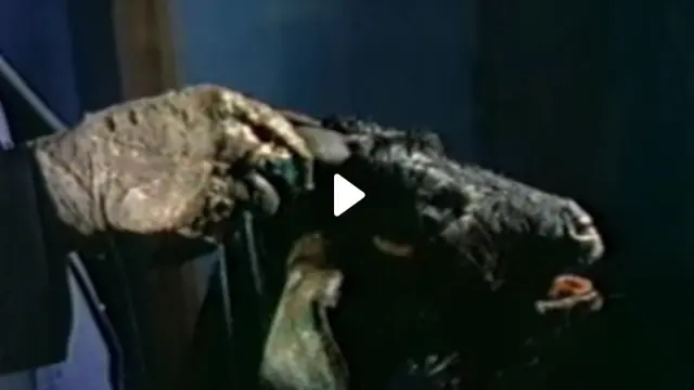image-movies