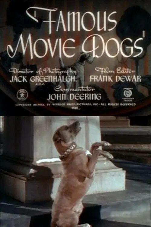image-movies