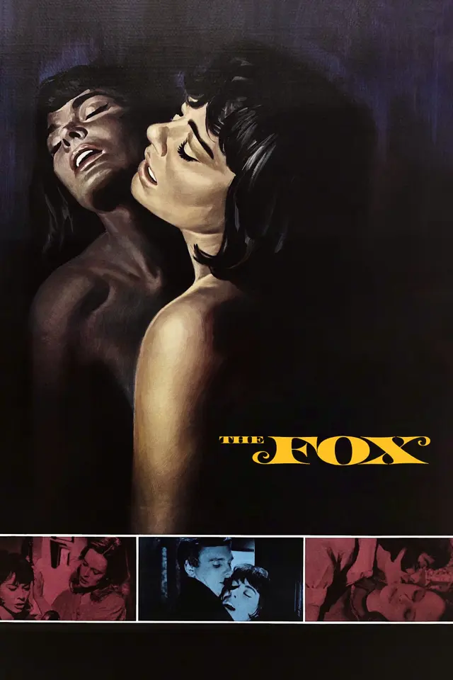 image-moviess