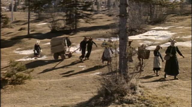 image-movies