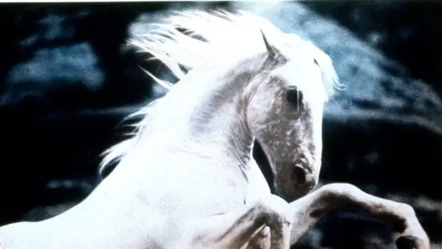 image-movies