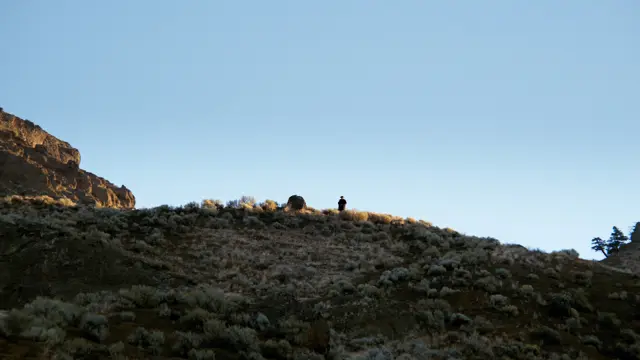 image-movies