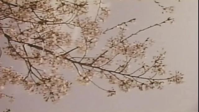 image-movies