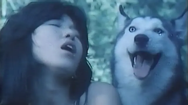 image-movies