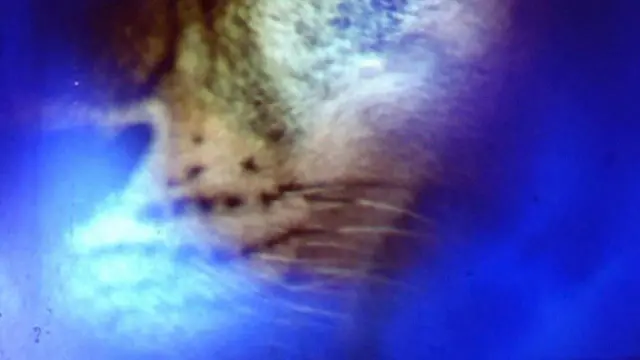 image-movies