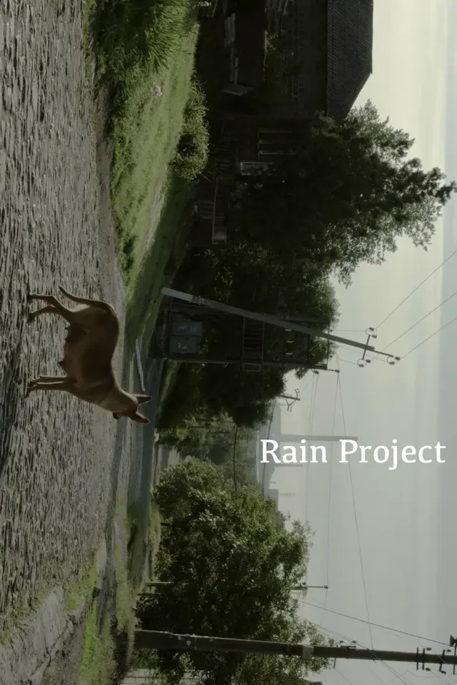 image-movies
