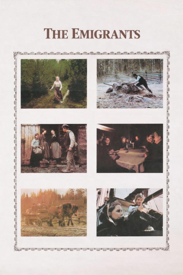 image-moviess