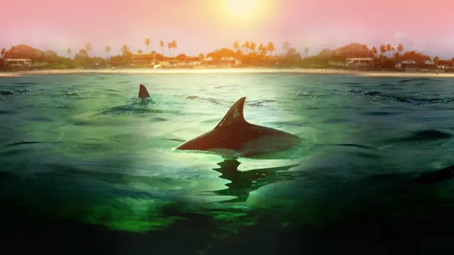 image-movies