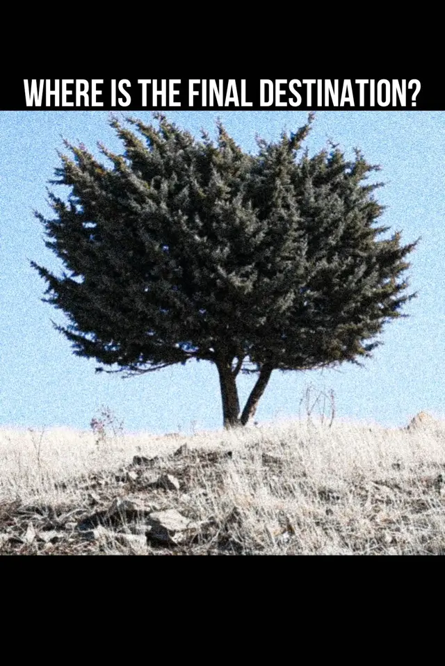 image-moviess