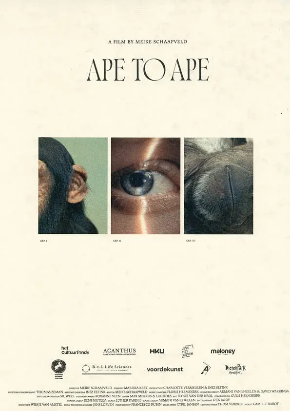 image-movies