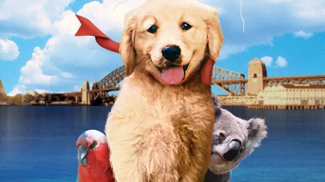 image-movies