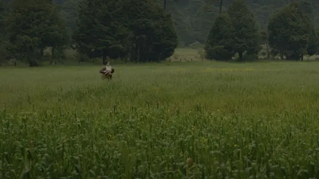 image-movies