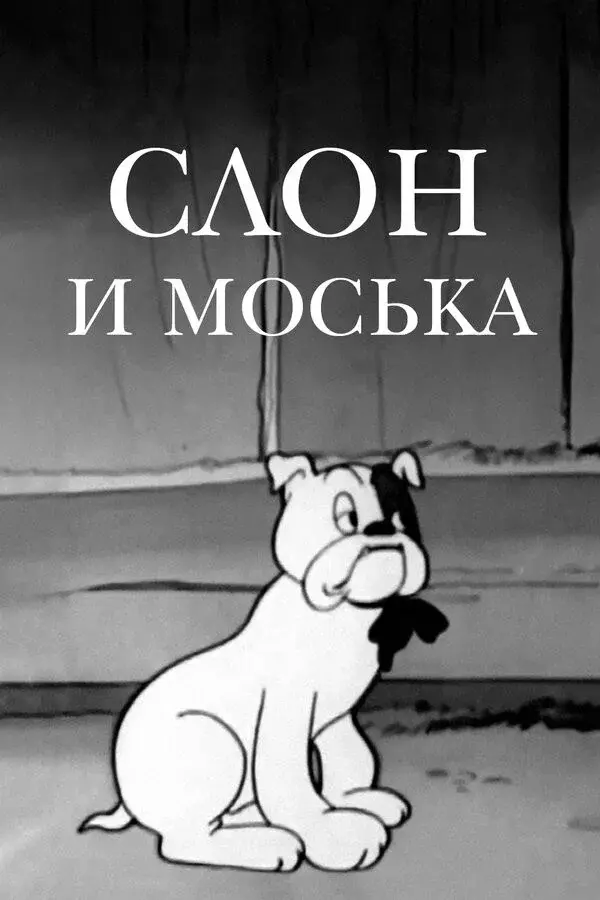 image-moviess