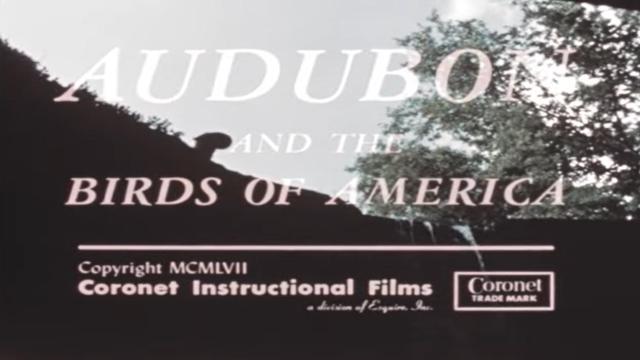 image-movies