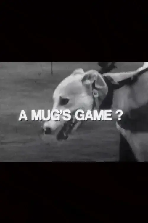 image-movies