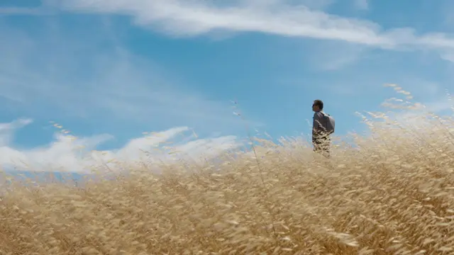 image-movies