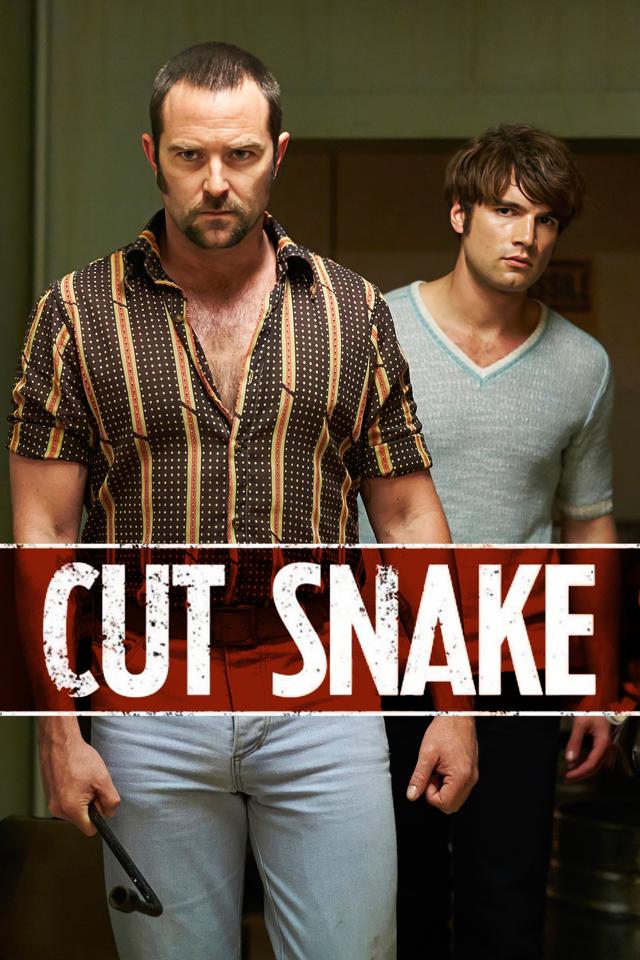 image-moviess