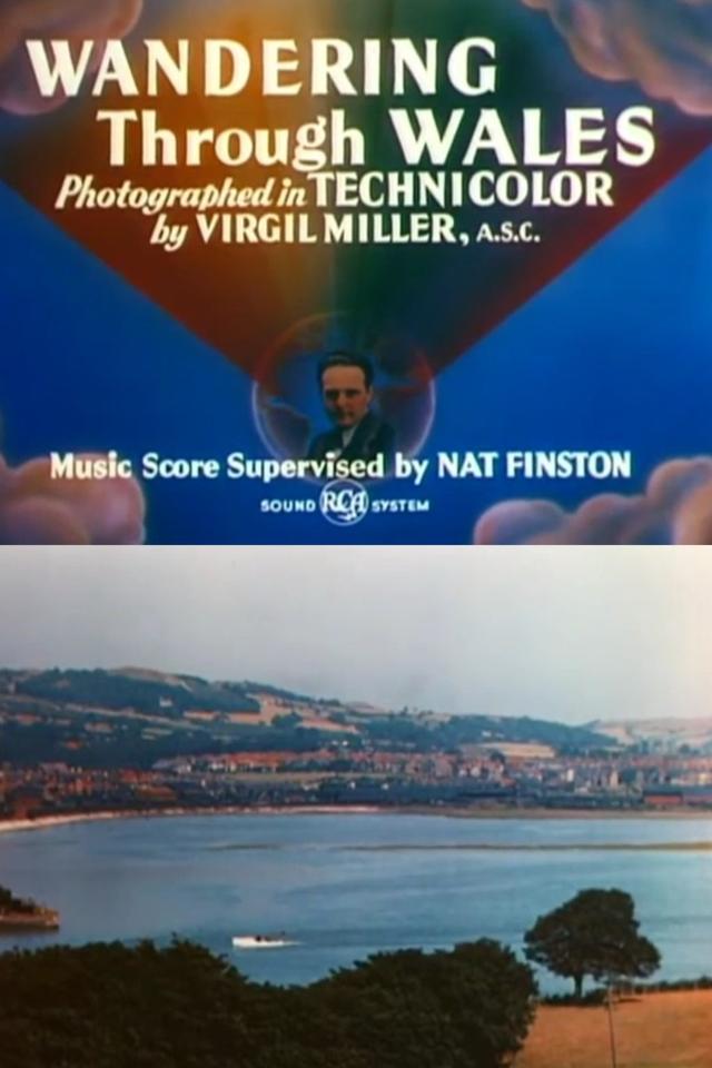 image-movies