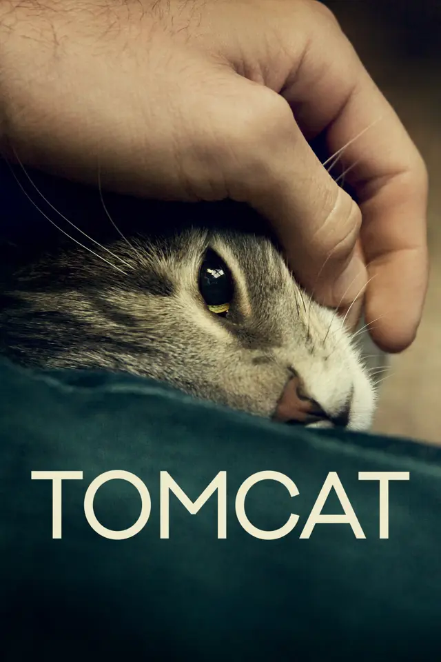 image-moviess