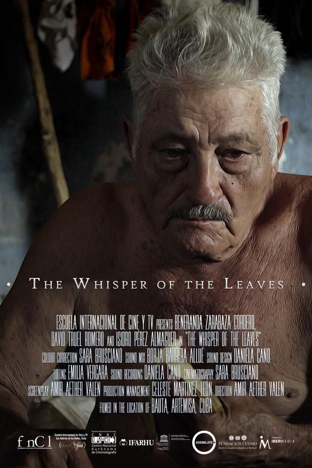 image-moviess