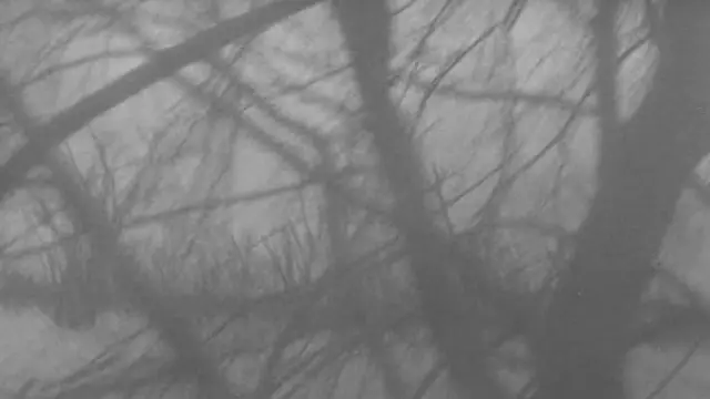 image-movies