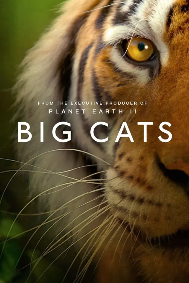 image-moviess