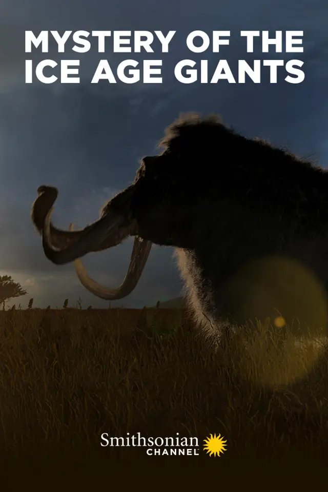 image-moviess