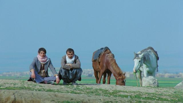 image-movies