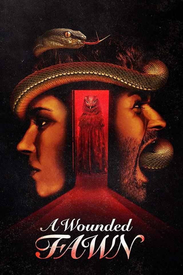 image-moviess
