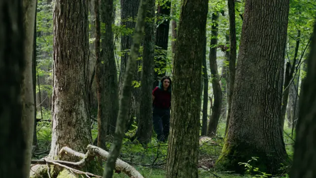 image-movies