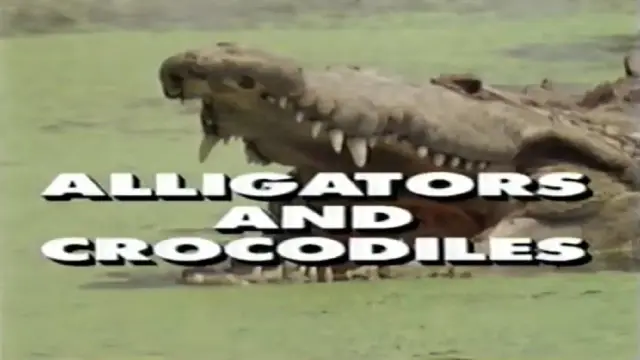 image-movies