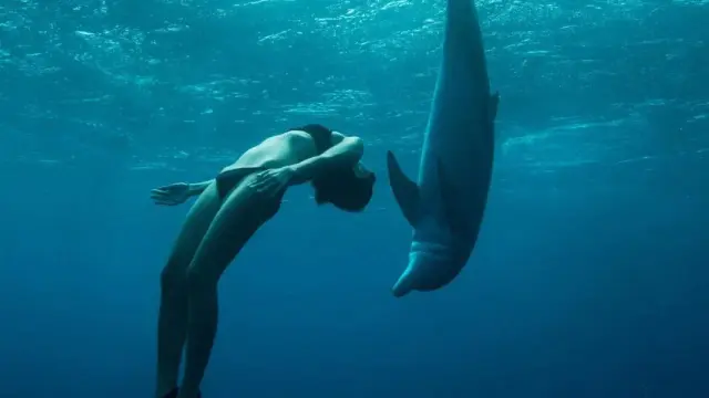 image-movies