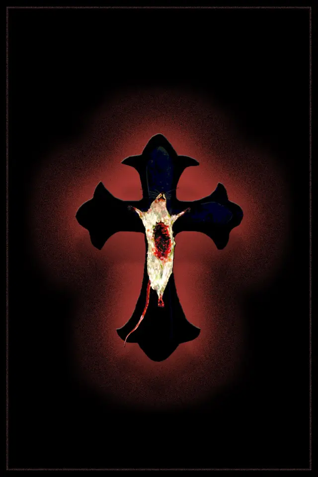 image-moviess