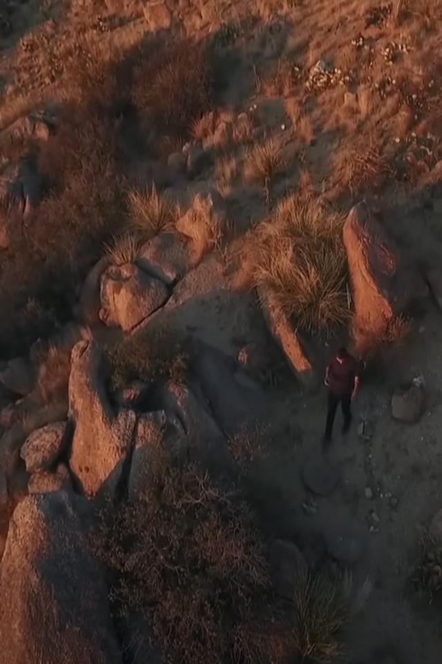 image-movies