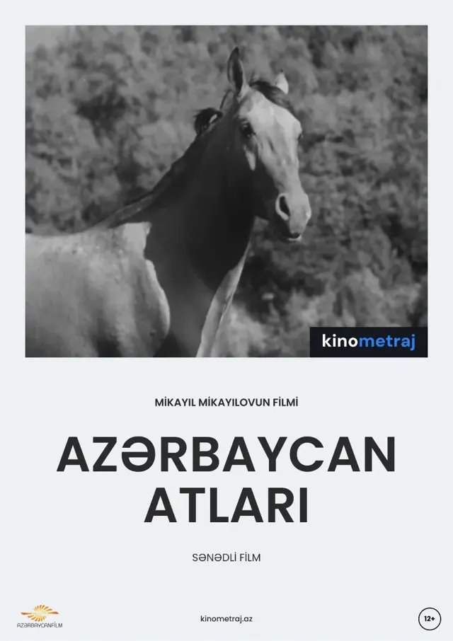 image-movies