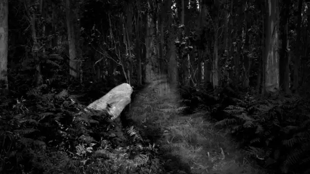 image-movies