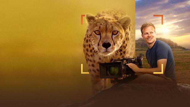 image-movies