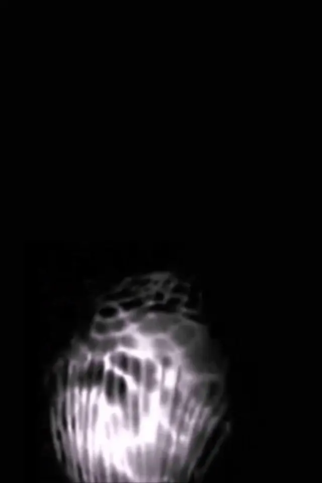 image-movies